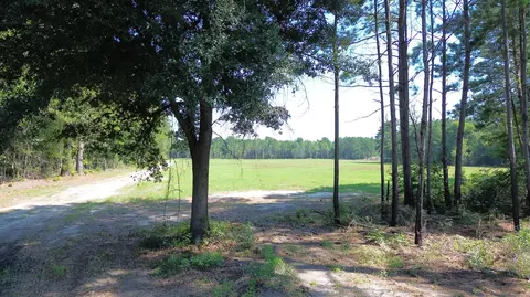 4 Trojan Rd, Cross, SC 29436 photo 9