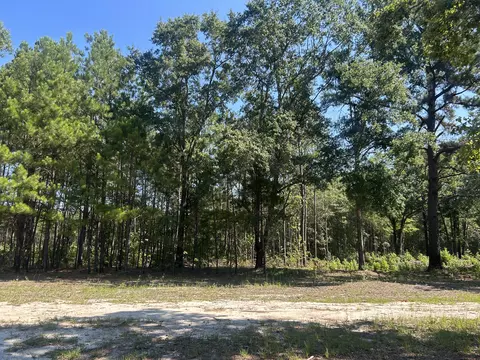 4 Trojan Rd, Cross, SC 29436 photo 24