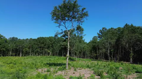 4 Trojan Rd, Cross, SC 29436 photo 11