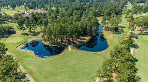 View/Area - 287 Santee Dr, Santee, SC 29142 photo 10 of 14