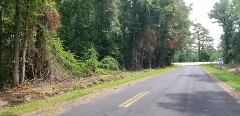 0 Pine Needle Rd, Walterboro, SC 29488 photo 1