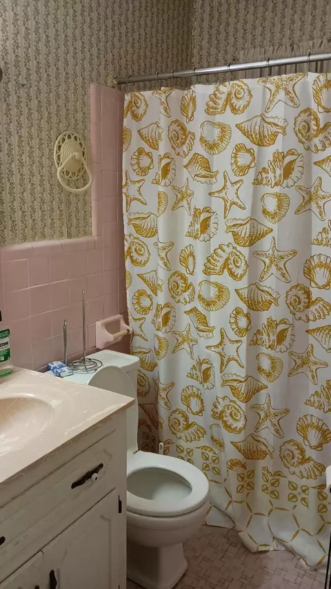 Bath - 934 Bobwhite Trl, Hampton, SC 29924 photo 3 of 4