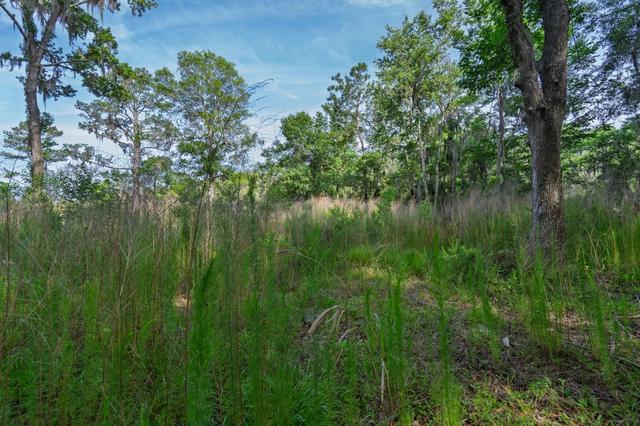 8326 Shell House Rd, Edisto Island, SC 29438