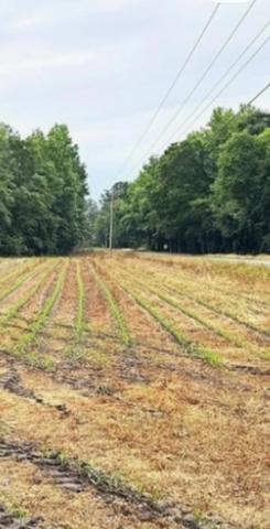 123 Mount Zion Rd, Saint George, SC 29477