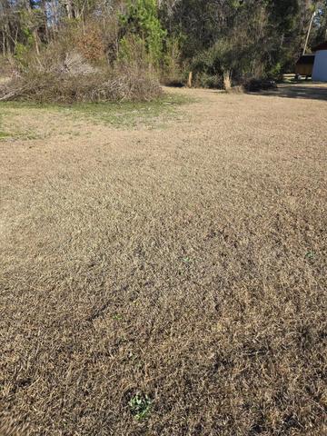 0 Bass Dr, Holly Hill, SC 29059