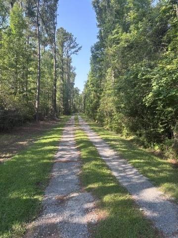 0 Gallashaw Rd, Summerville, SC 29483