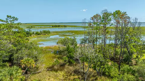 View/Area - 3640 Tidal Flat Cir, Mount Pleasant, SC 29466 photo 11 of 16