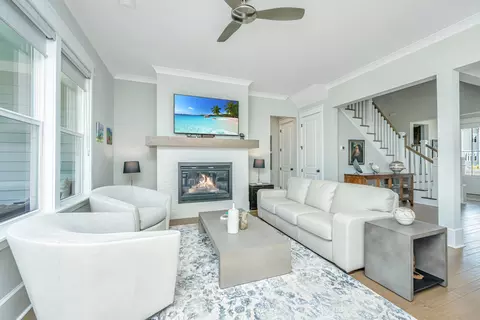 Living - 3640 Tidal Flat Cir, Mount Pleasant, SC 29466 photo 3 of 3