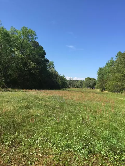 0 Boy Scout Rd, Wadmalaw Island, SC 29487