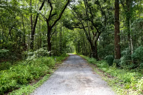 00 Corbetts Aly #LOT 14, Johns Island, SC 29455