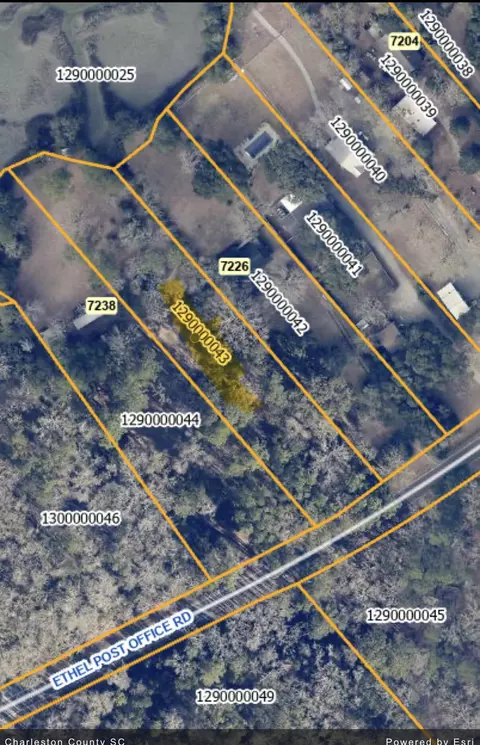 7232 Ethel Post Office Rd, Meggett, SC 29449