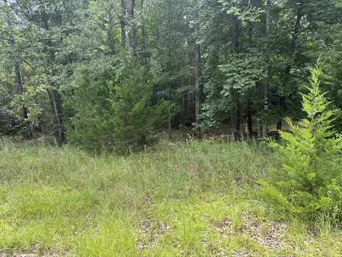 1061 Myrtle Dr, Santee, SC 29142 photo 4