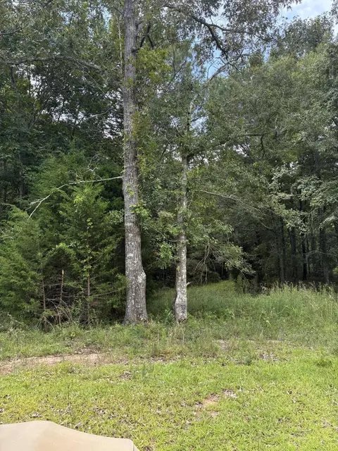 1061 Myrtle Dr, Santee, SC 29142 photo 6