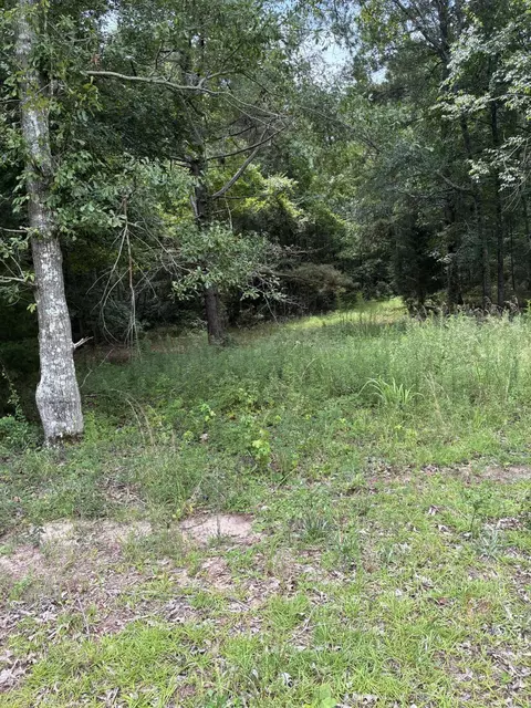 1061 Myrtle Dr, Santee, SC 29142 photo 5