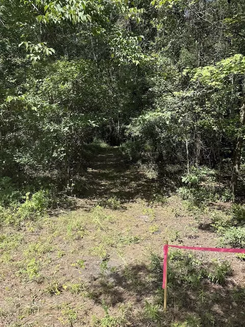 1 Parkers Ferry Rd, Adams Run, SC 29426