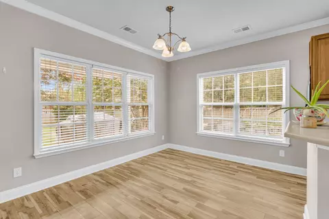 Other - 111 Hidden Forest Ct, Moncks Corner, SC 29461 photo 5 of 12