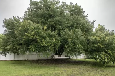 Exterior - 230 Winchime Ct, Moncks Corner, SC 29461 photo 17 of 17