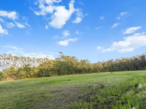 Exterior - 230 Winchime Ct, Moncks Corner, SC 29461 photo 8 of 17