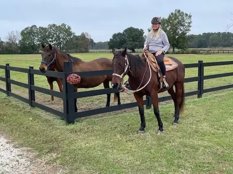 Other - 294 Nates Store Rd, Cameron, SC 29030 photo 12 of 18