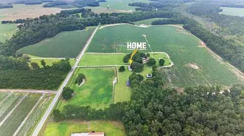 Other - 294 Nates Store Rd, Cameron, SC 29030 photo 15 of 18