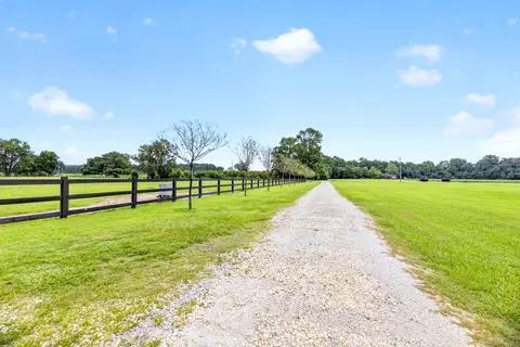 Other - 294 Nates Store Rd, Cameron, SC 29030 photo 9 of 18