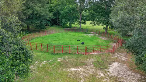 Other - 294 Nates Store Rd, Cameron, SC 29030 photo 13 of 18