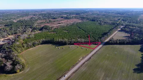 0 Rocks Pond Rd #LOT X, Eutawville, SC 29048