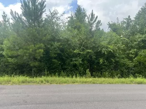 0 Thomas Rd, Dorchester, SC 29437