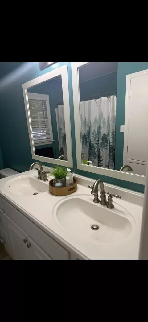 Bath - 605 W Pulaski Dr, Hampton, SC 29924 photo 2 of 5