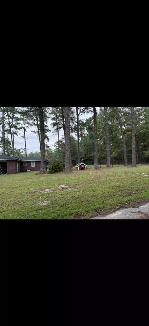 Exterior - 605 W Pulaski Dr, Hampton, SC 29924 photo 4 of 4
