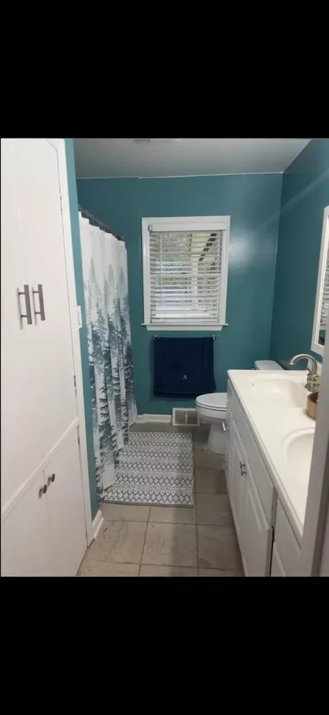 Bath - 605 W Pulaski Dr, Hampton, SC 29924 photo 3 of 5