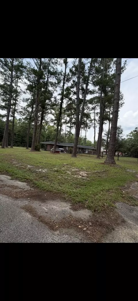 Exterior - 605 W Pulaski Dr, Hampton, SC 29924 photo 1 of 4