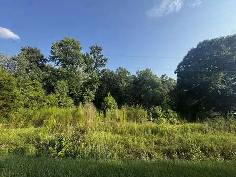 31 Gaines Cir, Cottageville, SC 29435