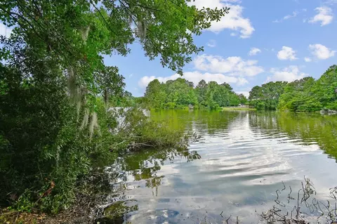 View/Area - 243 Emerald Isle Dr, Moncks Corner, SC 29461 photo 1 of 6