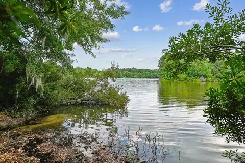 View/Area - 243 Emerald Isle Dr, Moncks Corner, SC 29461 photo 5 of 6