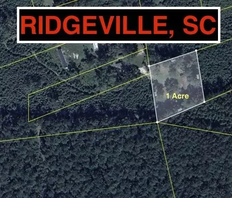 217 Joe Felder Rd, Ridgeville, SC 29472