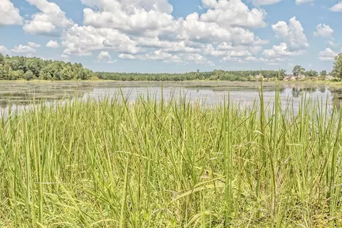 View/Area - 126 Red Leaf Blvd, Moncks Corner, SC 29461 photo 6 of 7