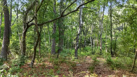 0 Legare Dr, Moncks Corner, SC 29461 photo 5