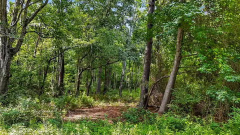 0 Legare Dr, Moncks Corner, SC 29461 photo 4