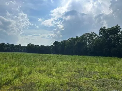 lot1 7 Mile Rd, Harleyville, SC 29448