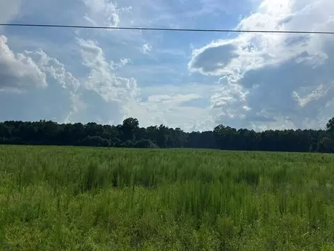 lot3 7 Mile Rd, Harleyville, SC 29448
