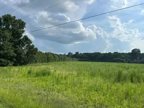 lot4 7 Mile Rd, Harleyville, SC 29448