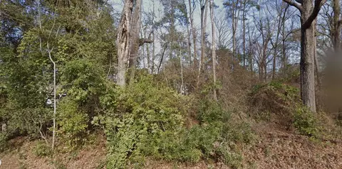 0 2nd St, Santee, SC 29142 photo 7