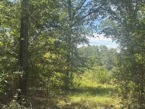 1651 1571 Creek Mill Rd, North, SC 29112
