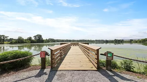 View/Area - 228 Beebalm Ln, Moncks Corner, SC 29461 photo 7 of 10