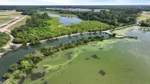 View/Area - 228 Beebalm Ln, Moncks Corner, SC 29461 photo 10 of 10