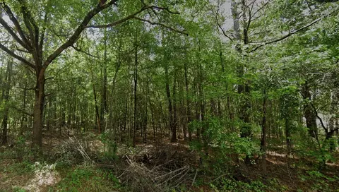 tbd Long Branch Rd, Greeleyville, SC 29056