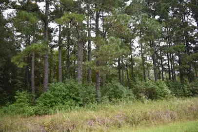 tbd Burgess Rd, Greeleyville, SC 29056