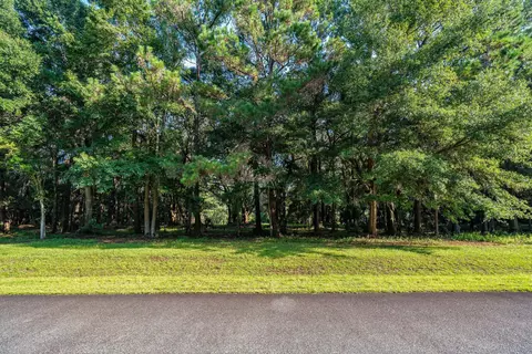 4132 Gnarled Oaks Ln #54, Johns Island, SC 29455