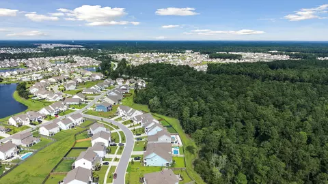 View/Area - 216 Shortmarsh St, Summerville, SC 29486 photo 7 of 25